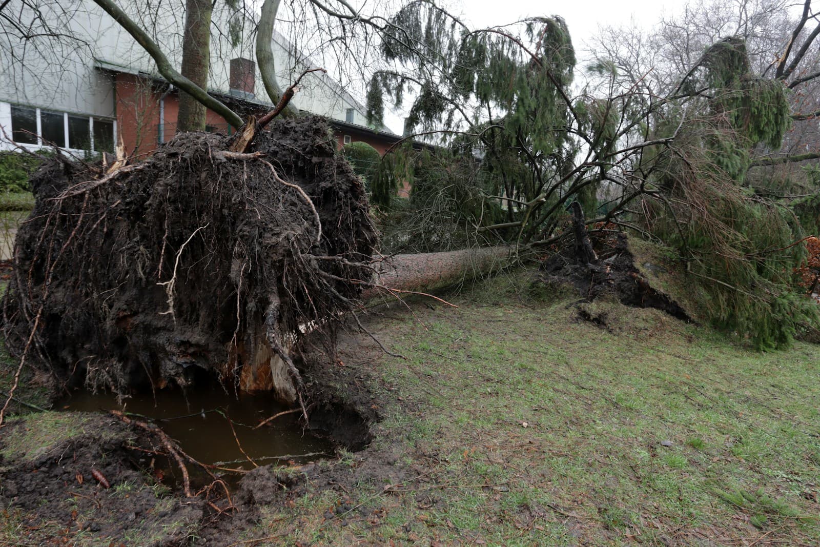 Tree Removal & Debris project by EZ Roofing in Southwest Missouri